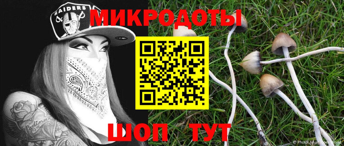 Галлюциногенные грибы прущие грибы Апатиты