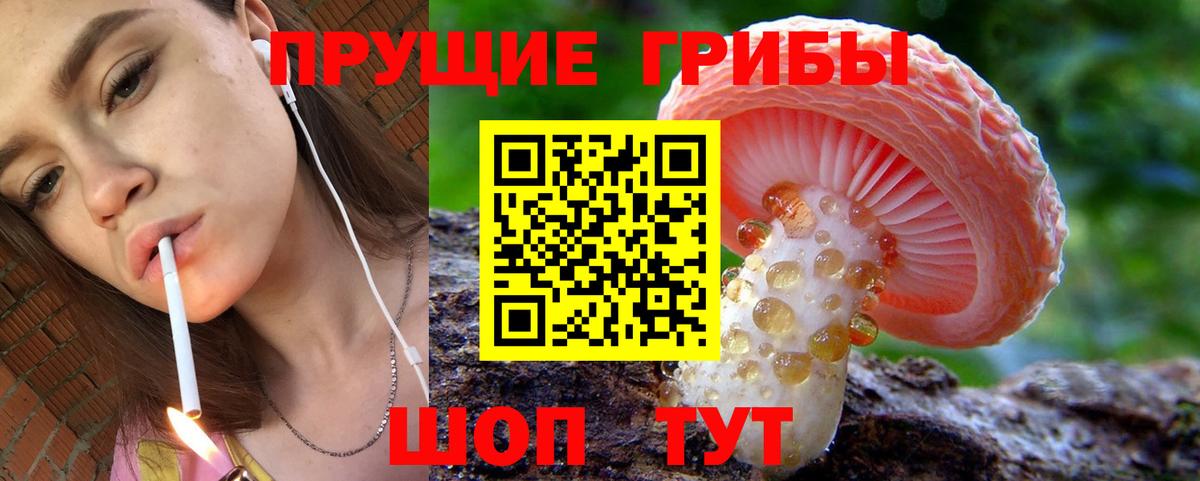 Апатиты  Псилоцибиновые грибы Psilocybine cubensis  Вход с VPN  Галлюциногенные грибы Psilocybine cubensis 
